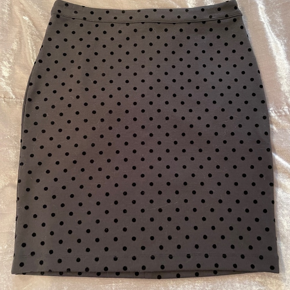 Ann Taylor velvet polkadot work skirt